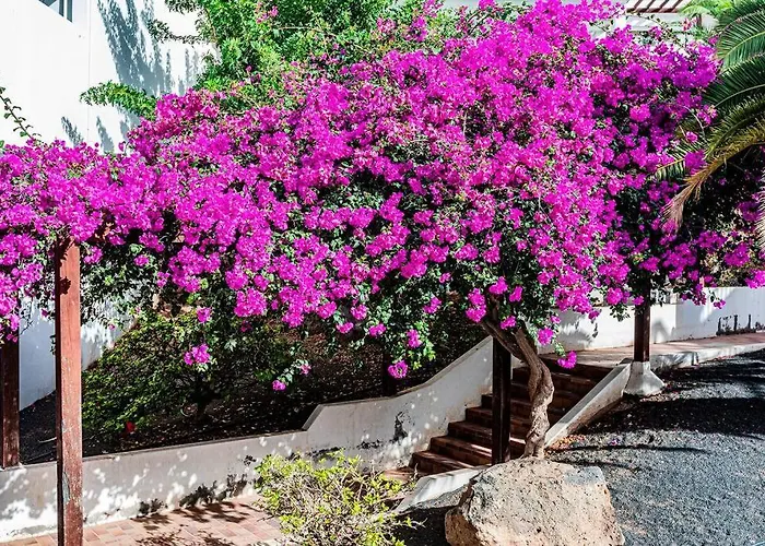 Διαμέρισμα El Descanso Costa Teguise